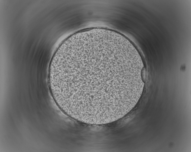 X0000114520815200911301115