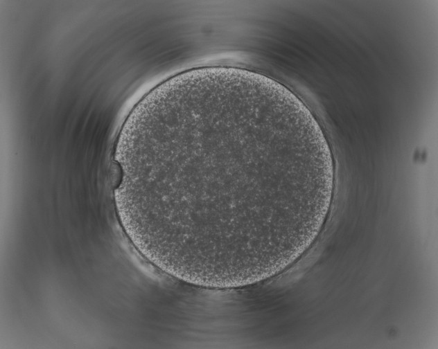 X0000114520816200911301115