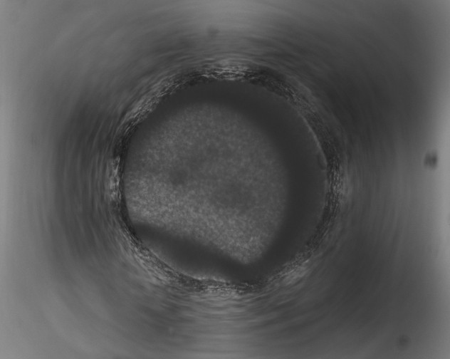 X0000114520818200911301114