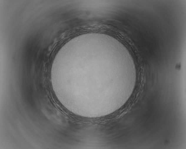 X0000114520820200911301114