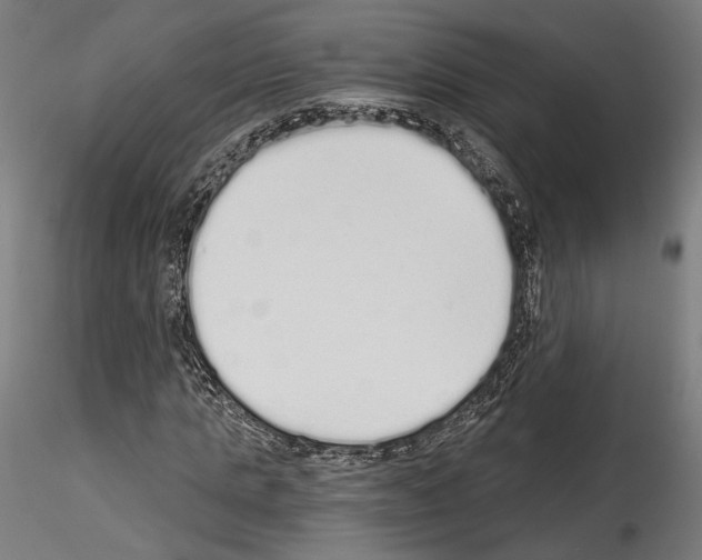 X0000114520821200911301114