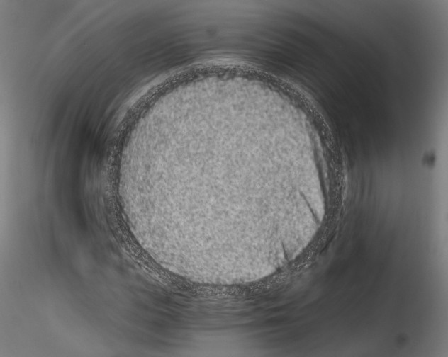 X0000114520823200911301114