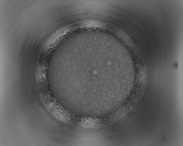 X0000114520824200911301114