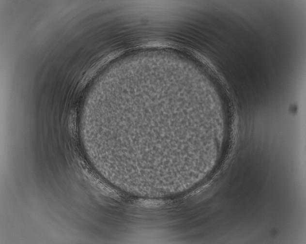 X0000114520825200911301114