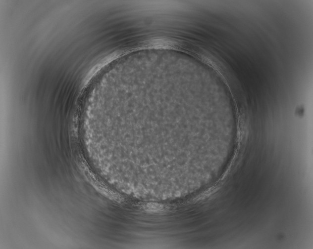 X0000114520827200911301114