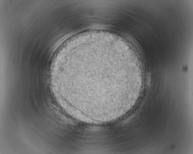 X0000114520829200911301114