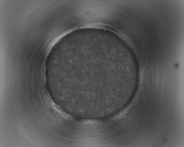 X0000114520830200911301114