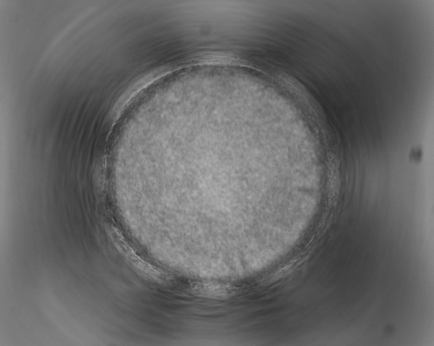 X0000114520831200911301114