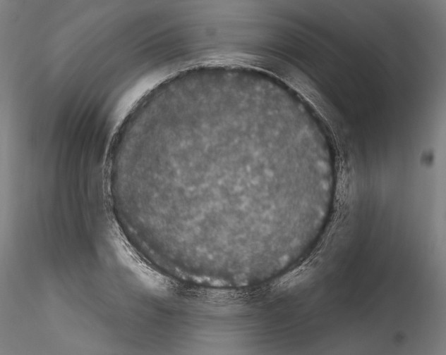 X0000114520832200911301114