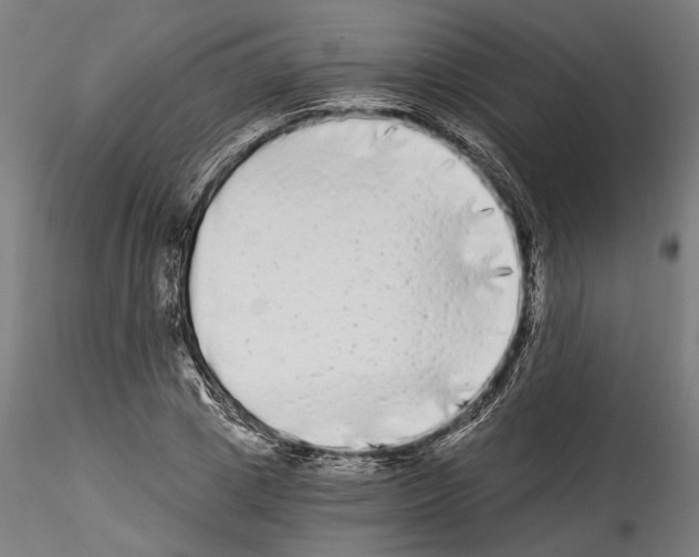 X0000114520833200911301114