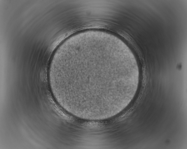 X0000114520834200911301114