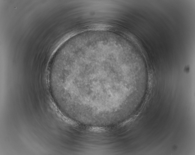 X0000114520835200911301114