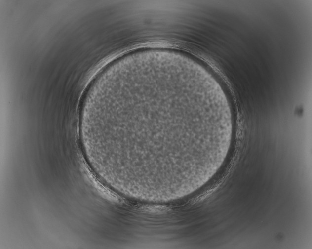 X0000114520837200911301114