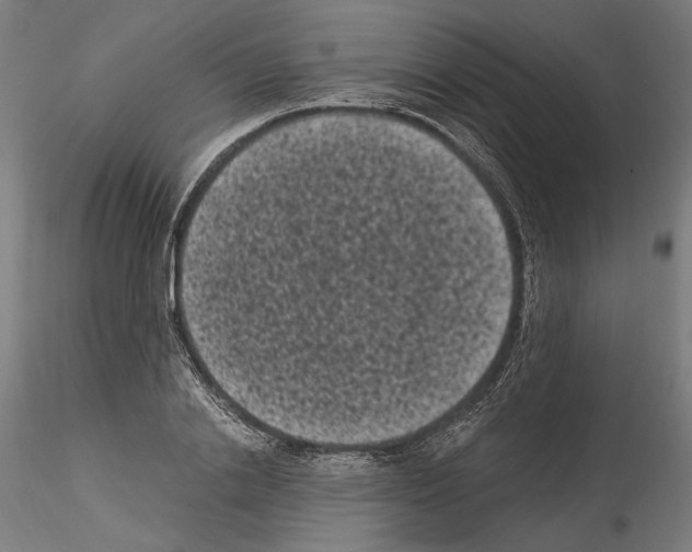 X0000114520838200911301114