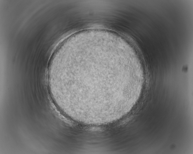 X0000114520839200911301114