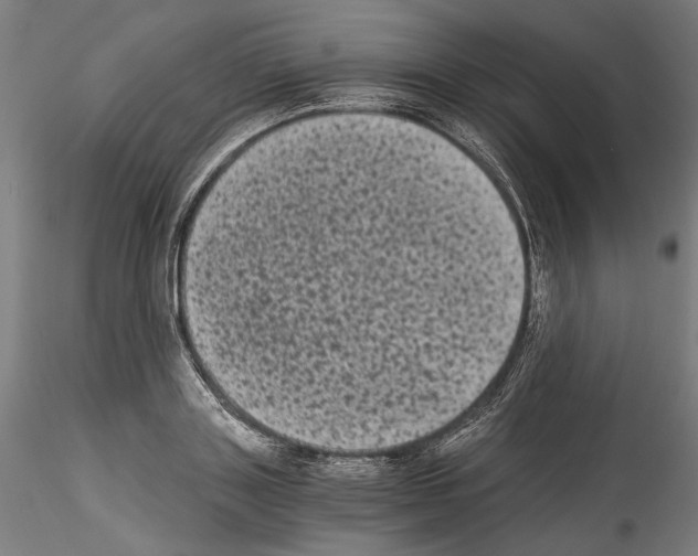 X0000114520843200911301114