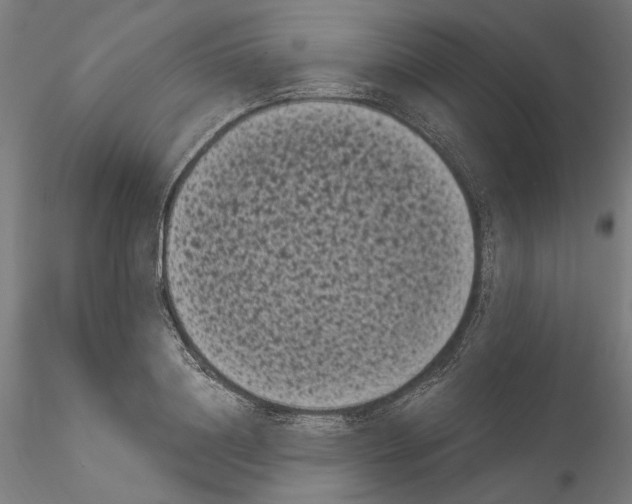 X0000114520844200911301114