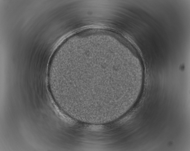 X0000114520845200911301114