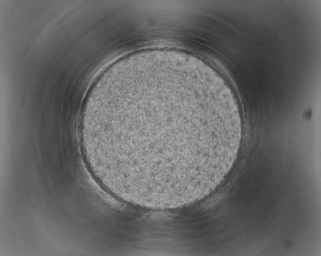 X0000114520847200911301114