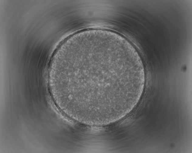 X0000114520848200911301114