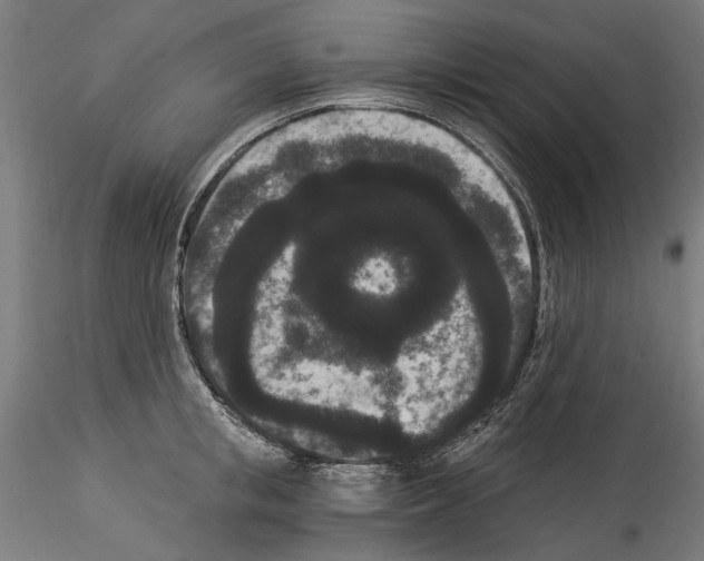 X0000114520853200911301114