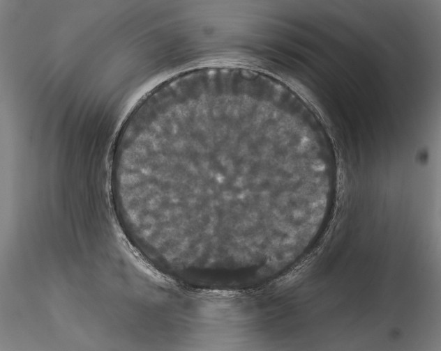 X0000114520854200911301114