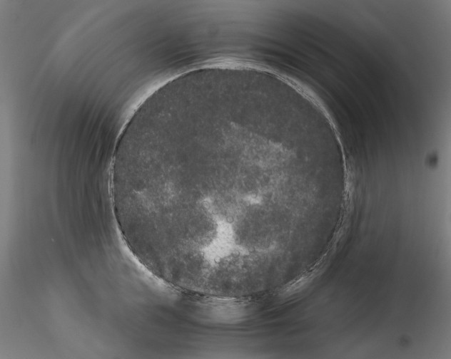 X0000114520855200911301115