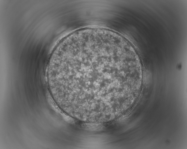 X0000114520856200911301115