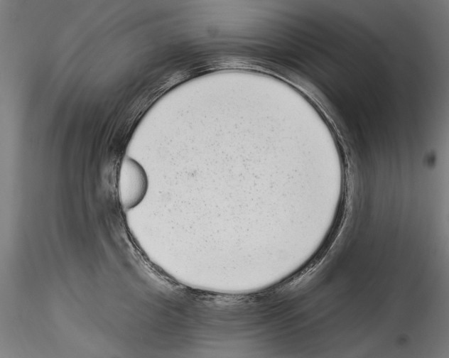 X0000114520857200911301115