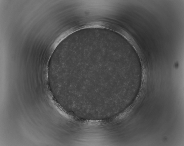 X0000114520858200911301115