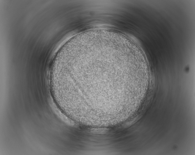 X0000114520859200911301115