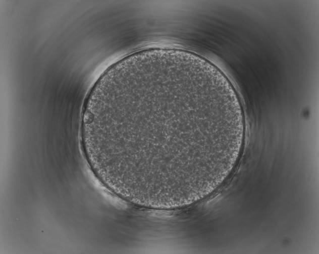 X0000114520861200911301115