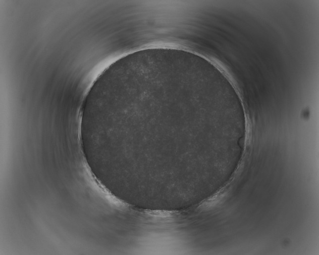 X0000114520862200911301115