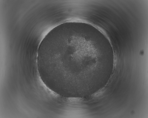 X0000114520863200911301115