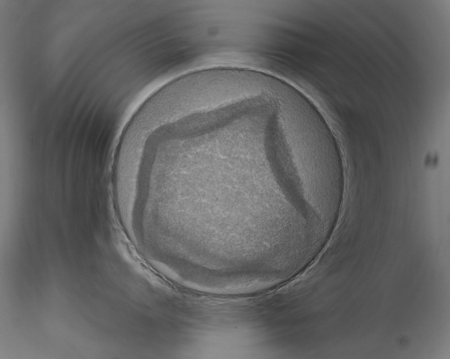 X0000114520864200911301115