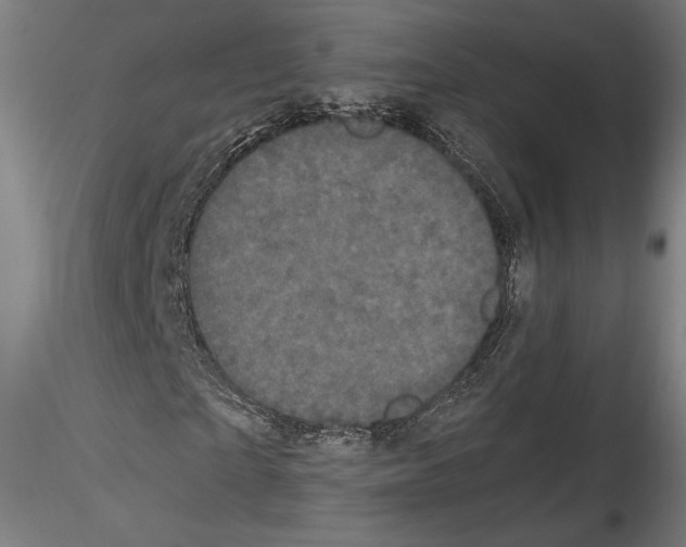 X0000114520865200911301114