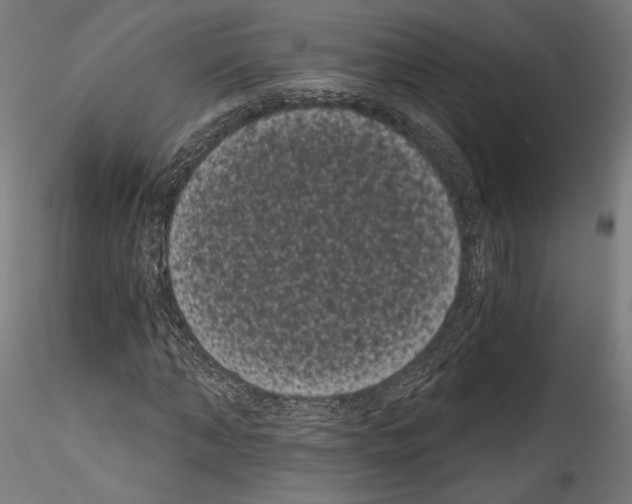 X0000114520870200911301114