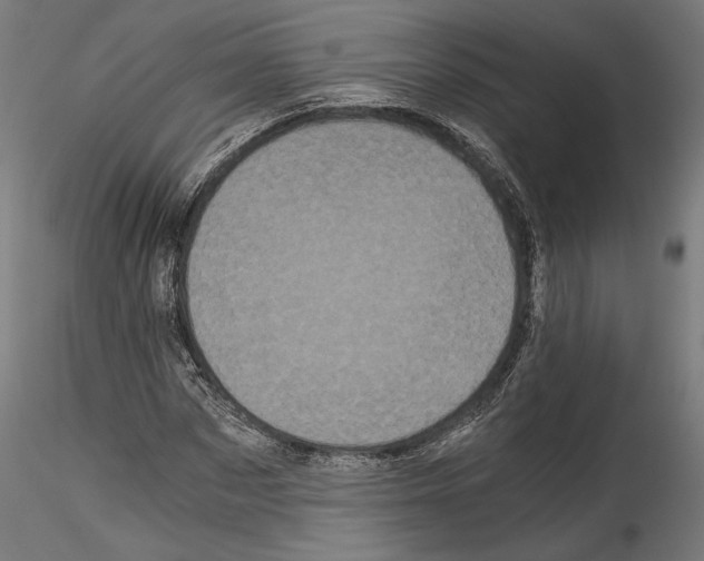 X0000114520873200911301114