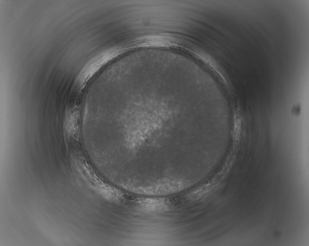 X0000114520874200911301114