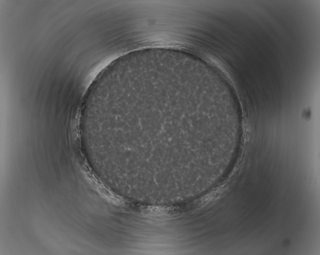 X0000114520875200911301114