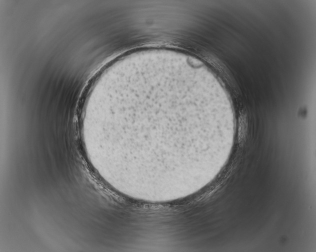 X0000114520876200911301114