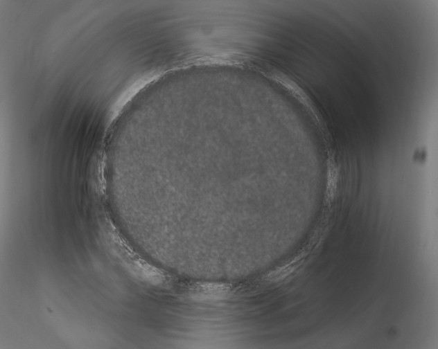 X0000114520878200911301114