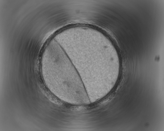 X0000114520879200911301114