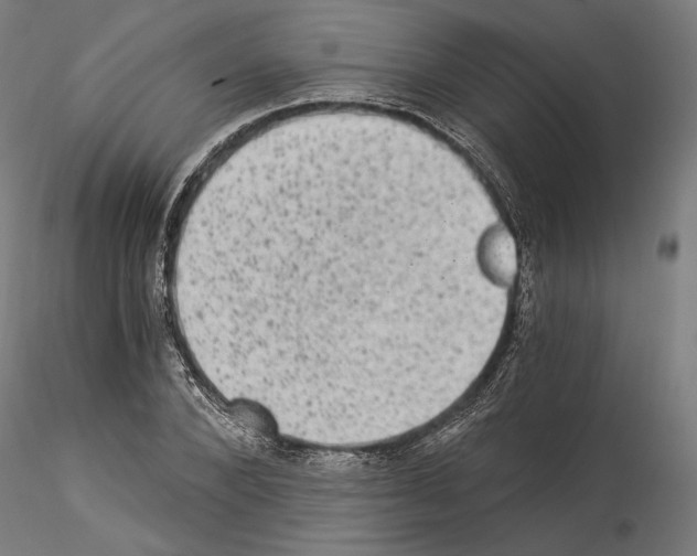 X0000114520880200911301114