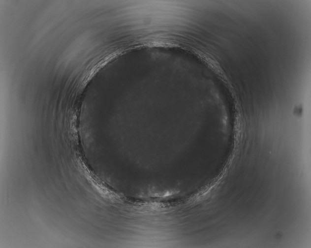 X0000114520881200911301114