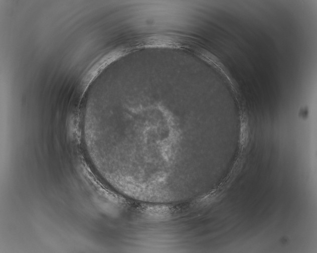 X0000114520882200911301114