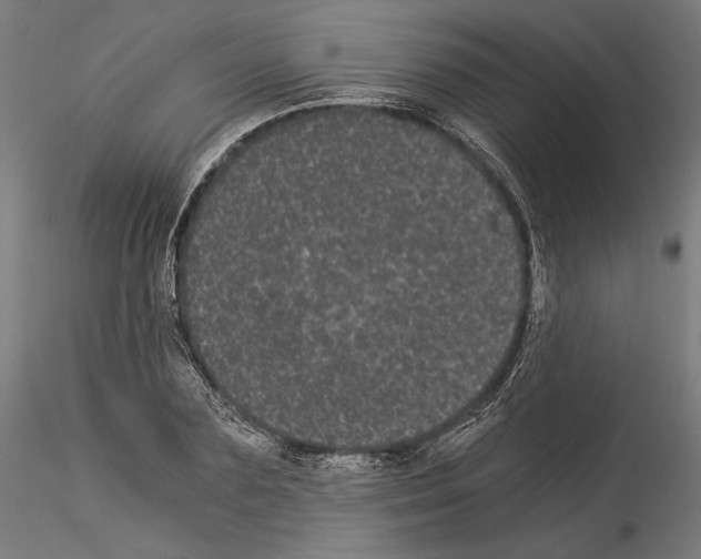 X0000114520883200911301114