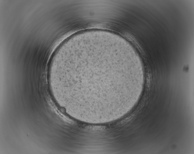 X0000114520884200911301114