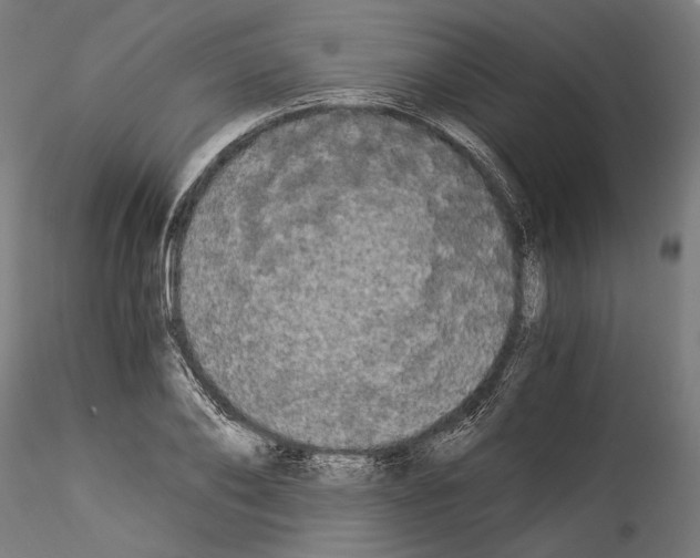 X0000114520886200911301114