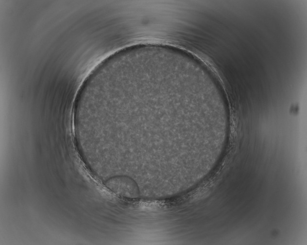 X0000114520887200911301114